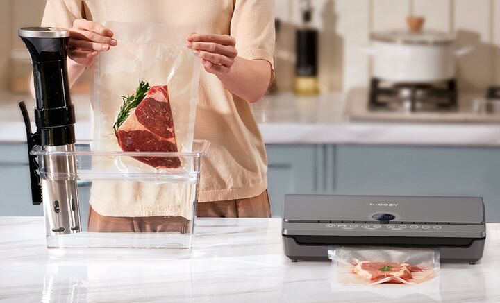 HiCOZY Vacuum Sealer (SJ-2030)