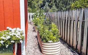 DIY Organic Garden Pest Management
