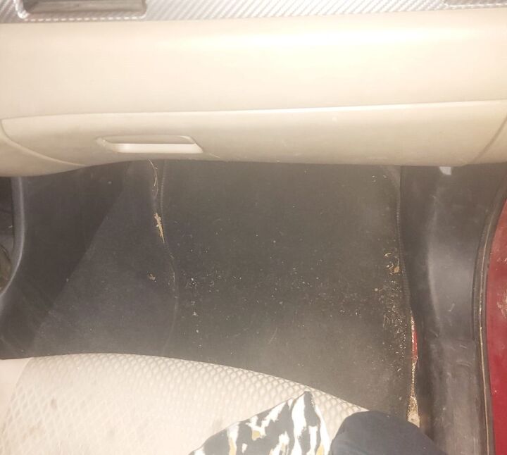 How to shampoo car carpet?