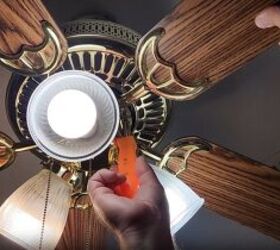 Use a screwdriver to remove the fan blades
