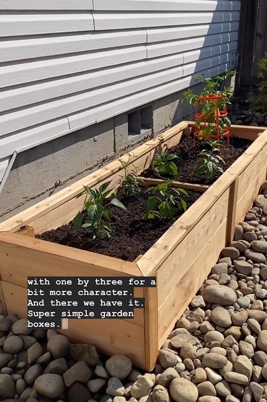 DIY raised garden beds