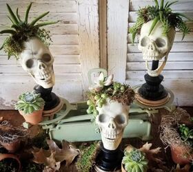 Succulent skulls