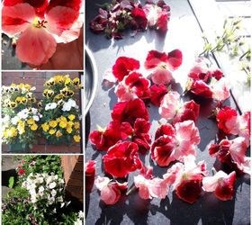 Cómo aprovechar al máximo todas las flores de tu jardín. NO ES EL FIN