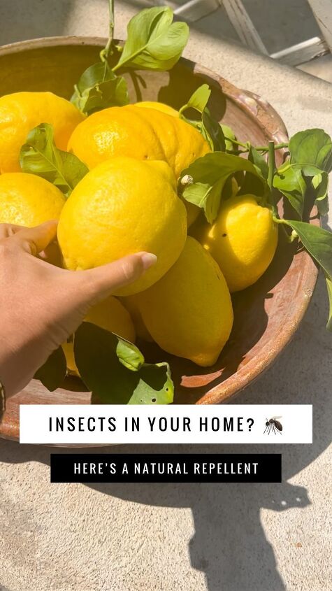natural insect repellent, DIY natural insect repellent