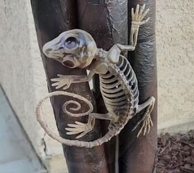 Creepy lizard skeleton decor