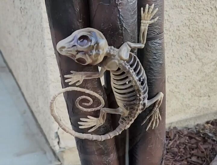 Creepy lizard skeleton decor