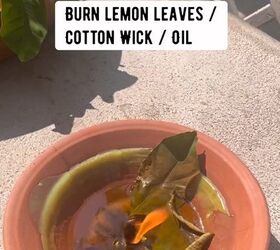 natural insect repellent, Burning lemon leaves