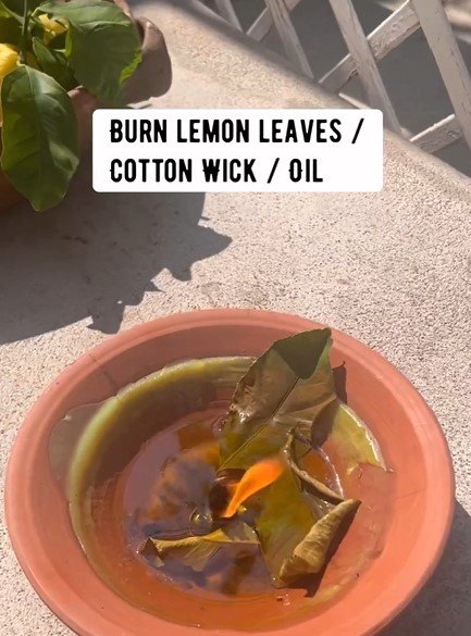 natural insect repellent, Burning lemon leaves