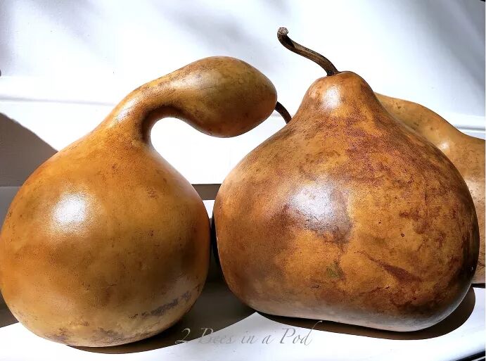 Stained gourds