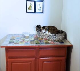 DIY Cat Litter Box Cabinet Makeover With Drink Can Top