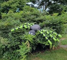 DIY giant spider in a bush