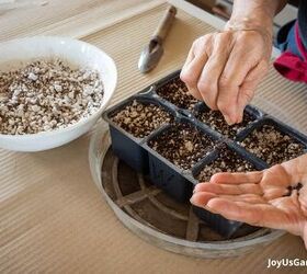 growing basil in pots, Growing Basil from seed is easy