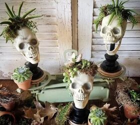 How to Create Spooky-Chic Succulent Skulls for Your Halloween Kitchen!