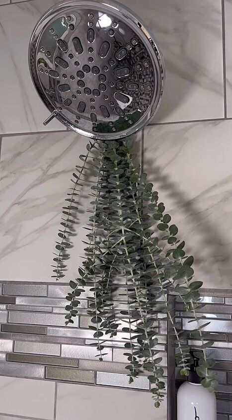 how to make a bathroom smell good, Hanging a eucalyptus branch in your shower