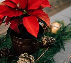 Pine cone ornaments