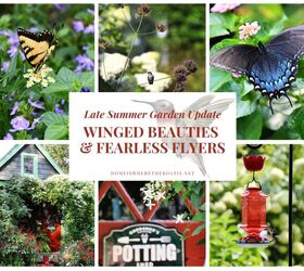 support a climbing vine with an upside down fence