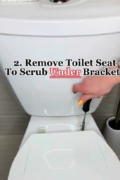 Removing the toilet seat