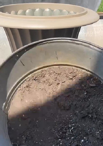faux concrete planter, Brown dirt