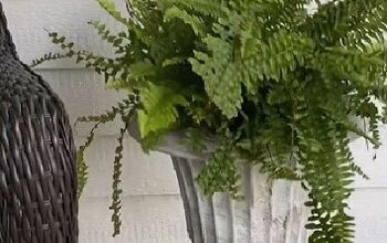 How to Make a Faux Concrete Planter in a Few Easy Steps