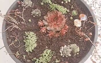 How to Make a DIY Plant Stand Using an Old Bird Feeder