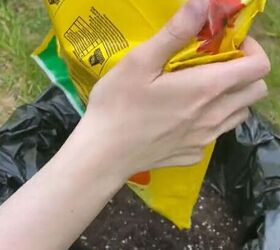Adding potting soil