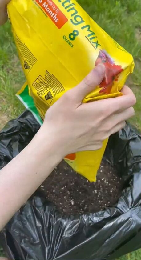 Adding potting soil