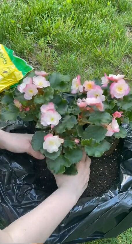 Arranging the flowers