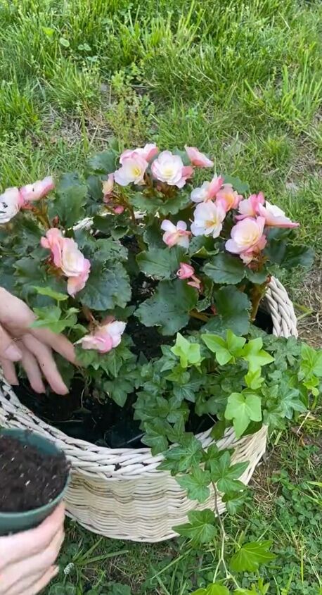 Filling the basket with soil