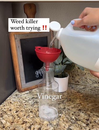 Measuring the vinegar