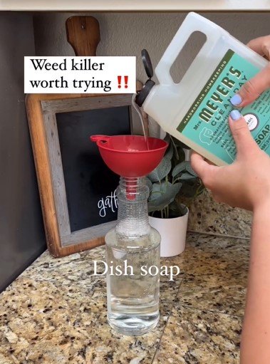 Adding dish soap