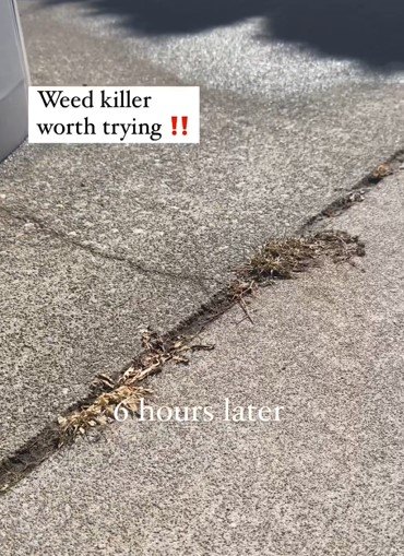 DIY weed-killer