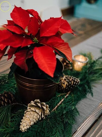 Pine cone ornaments