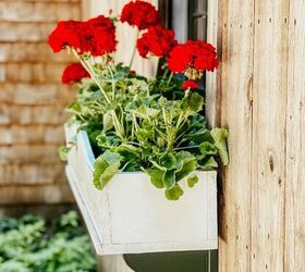 cmo transformar una lmpara de aceite en un florero nico, Geranios rojos Jardineras de ventana tradicionales