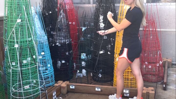 Buying a tomato cage