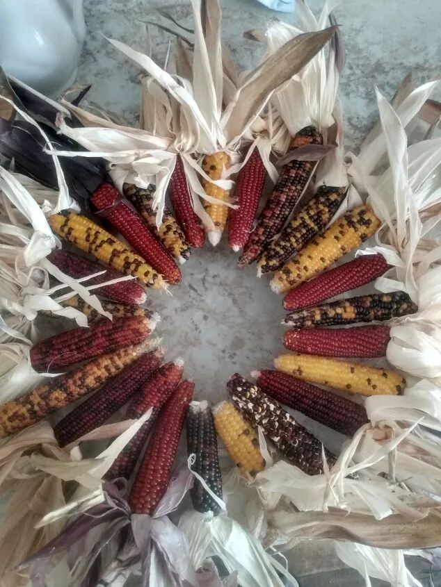 Indian Corn Wreath