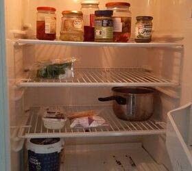 Can mice get inside refrigerator?