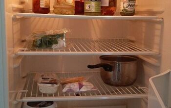 Can mice get inside refrigerator?