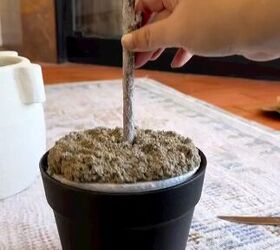 how to repot a fake plant, Removing the fake plant