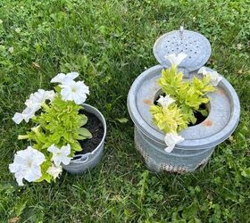 consejos para el cuidado de las plantas