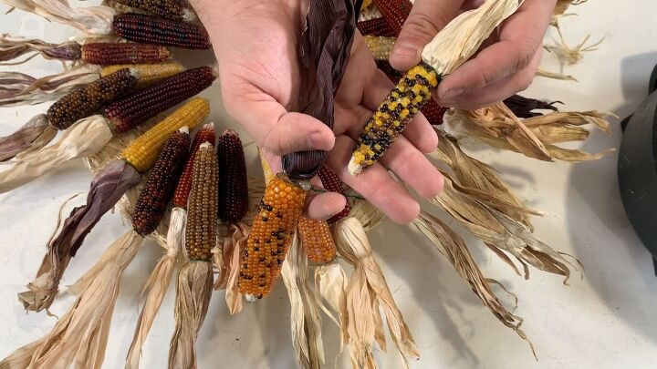 corn husk wreath, Creative seasonal decor Corn wreath