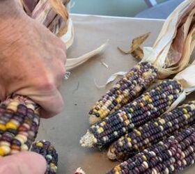 Twist off the corn husks