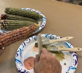 How to paint Indian corn for fall decor
