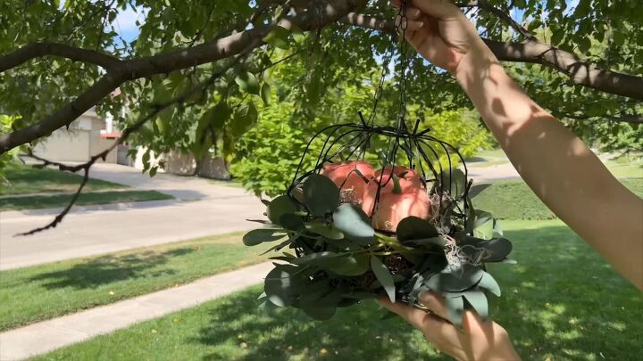 Pumpkins hanging from tree