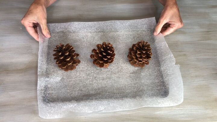 Pine cone preservation techniques