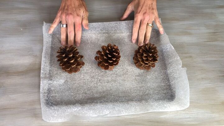 Place pine cones on lined baking sheet