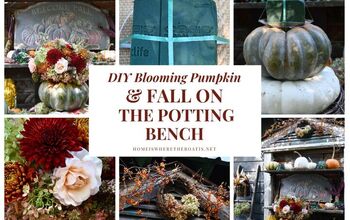 Celebrate Fall With a DIY Blooming Pumpkin and Table Centerpiece