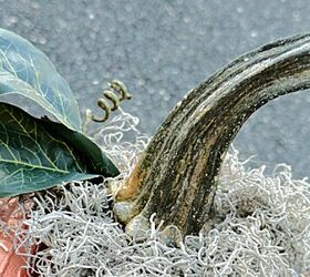 calabaza de jardn reciclada, tallo hojas de magnolia y musgo