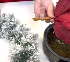 Dipping the poinsettia ends in the glue skillet