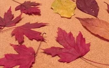 How do I make fall leaf luminaries?
