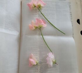 cmo prensar flores de 4 maneras diferentes, Guisantes de olor prensados